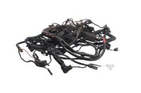 Faisceau de câbles, faisceau de câbles principal, système électrique, unité de commande BMW R 1200 GS K25 0307 R12 04-07