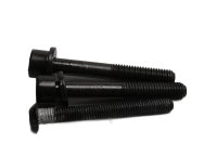 Engine bolt set, hexagonal BMW R 1200 CL 0442 K30 259C 03-05