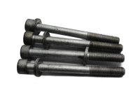 Engine bolt set, hexagonal BMW R 1200 CL 0442 K30 259C 03-05