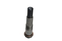 Steuerkettenspanner Spanner Steuerkette Motor BMW R 1200 CL 0442 K30 259C 03-05