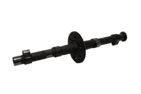 Ingranaggi di azionamento dellalbero a camme per il controllo della distribuzione Kawasaki ZR 7S ZR750F H 01-04
