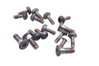 Brake disc bolt set front rear screws Honda XL 1000 V...