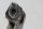 Repose-pied avant droit, système de repose-pied du conducteur BMW K 1300 S K40 0508 09-15