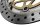 Disque de frein avant Kawasaki ZR 7S ZR750F H 01-04