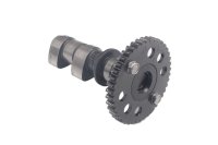 Front exhaust camshaft, control shaft, valve train Honda...