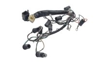 Wiring harness for instrument lighting and speedometer...