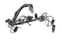 Wiring harness for instrument lighting and speedometer...