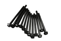 Set di viti, set di viti per il supporto del telaio, dadi Kawasaki ZR 7S ZR750F H 01-04