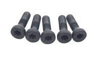 Set di bulloni per ruota, ruota posteriore, bulloni di sicurezza BMW R 1200 GS K25 0307 R12 04-07