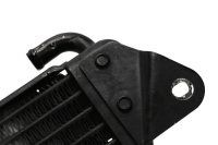 Ölkühler Ölleitung Motorkühlung Kühlrippen BMW R 1200 CL 0442 K30 259C 03-05