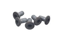 Rear brake discs screw set BMW R 1200 GS K25 0307 R12 04-07