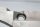Matkatavaratelineen pohjalevy BMW R 1200 CL 0442 K30 259C 03-05