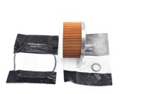 Inserto filtro olio, guarnizione O-ring, set di filtri Triumph Trident 750 T300/T300C 91-98