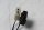 Koppelschakelaar, kabel, lijn BMW R 1200 CL 0442 K30 259C 03-05