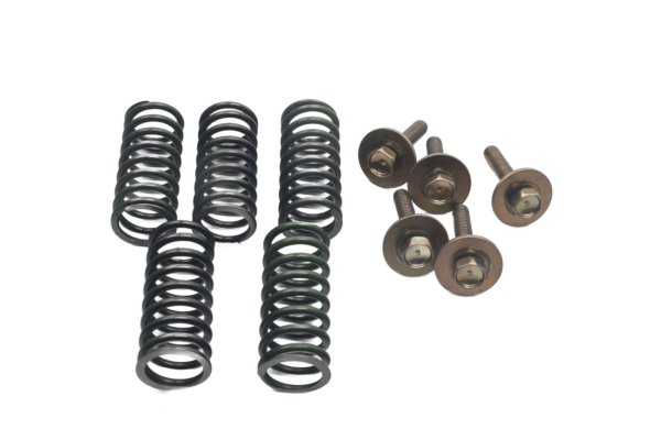 Clutch springs, screws, clutch pressure plate set Honda XL 1000 V SD01 99-00