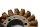 bobine de stator dalternateur Kawasaki ZR 7S ZR750F H 01-04