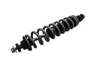 Federbein vorne Stoßdämpfer Fahrwerk Zugstrebe BMW R 1200 CL 0442 K30 259C 03-05