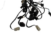 Kabelbaum Hauptkabelstrang Elektrik Stecker BMW R 1200 CL 0442 K30 259C 03-05