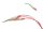 Support de plaque dimmatriculation, support de clignotant, réflecteur Suzuki GSX 600 F AJ 03-06