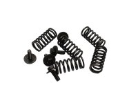 Clutch springs, screw set, pressure plate Kawasaki ZR-7S...