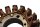 Alternator stator generator three-phase coil Kawasaki ZR-7S ZR750F/H 01-04