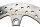 Rear brake disc, drilled; round disc brake Kawasaki ZR-7S ZR750F/H 01-04