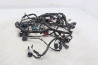 Main wiring harness, electrical wiring harness,...