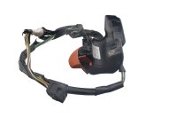 Interruptor del manillar, intermitentes, claxon, luz, lado izquierdo, sistema eléctrico BMW R 1150 GS R21 0415 99-04
