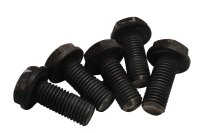 clutch intermediate plate flywheel screws BMW R 1200 GS K25 0307 R12 04-07
