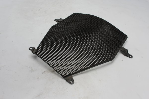 Rejilla protectora del radiador BMW K 1300 GT K44 0538 09-11