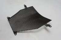 Rejilla protectora del radiador BMW K 1300 GT K44 0538 09-11