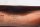 Windschild Abdeckung Verkleidung orange BMW R 1150 R Rockster R28 0308 03-05