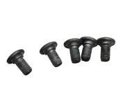 Achterremschijfschroevenset M8 BMW R 1200 GS K25 0307 R12 04-07