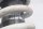 Etujousitus, iskunvaimennin, jousitus BMW R 1150 R Rockster R28 0308 03-05