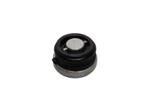 Kleppendeksel afdichtingsschroef cilinderkop BMW R 1100 S 259 0422 R2S 98-05