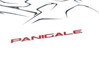 Brugsanvisning og servicehæfte Panigale Ducati Panigale 1100 V4 S 24-24
