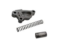 Distributiekettingspanner, kettingspanner, oliepomp BMW R 1100 S 259 0422 R2S 98-05