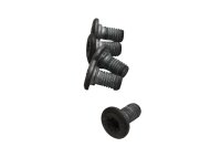 Achterrem schijfboutenset BMW K 1300 GT K44 0538 09-11
