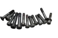 Paneles de revestimiento, tornillos para marcos, juego de tornillos BMW K 1300 GT K44 0538 09-11