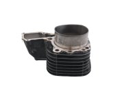 Linker cilinder, cilinderbus, koeling 7673973 BMW R 1150 R Rockster R28 0308 03-05