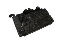 Waterkoeler links, koelradiator, koeling Honda XRV 750 Africa Twin RD04 90-92