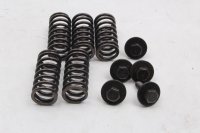 Kupplungsfeder Satz Druckfeder Schrauben Kawasaki ZR-7S ZR750F/H 01-04