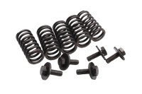 Kupplungsfeder Satz Druckfeder Schrauben Kawasaki ZR-7S ZR750F/H 01-04