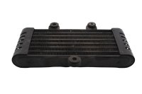 Ölkühler Ölleitung Motorkühlung Kühler Kawasaki ZR-7S ZR750F/H 01-04