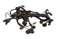 Kabelbaum Hauptkabelbaum Elektrik Zündung Kawasaki ZR-7S ZR750F/H 01-04