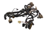 Kabelbaum Hauptkabelbaum Elektrik Zündung Kawasaki ZR-7S ZR750F/H 01-04