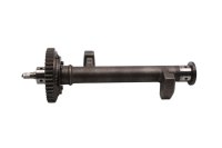 Balanceaksel, vibrationsdæmper, motoraksel Kawasaki KLE 500 LE500A1-A6 91-96