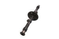 Nockenwelle Antrieb Steuerung Ventiltrieb Zahnrad Kawasaki ZR-7S ZR750F/H 01-04