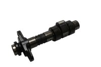 Eje de control de admisión del cilindro 1 del árbol de levas Honda XRV 750 Africa Twin RD04 90-92