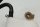 Coolant expansion tank hose connection Kawasaki ZX-7R ZX750N 96-99